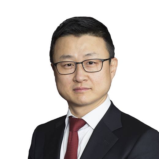 Howard Lee - BDA Partners