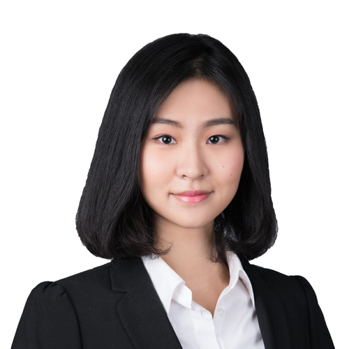 Di Yu - BDA Partners